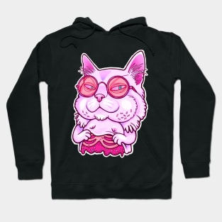 Candy cat Hoodie